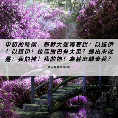 Picture 06 - 馬 可 福 音 15:34 CUVT - 申 初 的 時 候 ， 耶 穌 大 聲 喊 著 - Bible Verse Picture