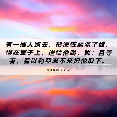 Picture 06 - 馬 可 福 音 15:36 CUVT - 有 一 個 人 跑 去 ， 把 海 絨 蘸 滿 - Bible Verse Picture
