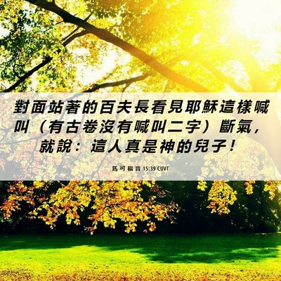 Picture 06 - 馬 可 福 音 15:39 CUVT - 對 面 站 著 的 百 夫 長 看 見 耶 穌 - Bible Verse Picture