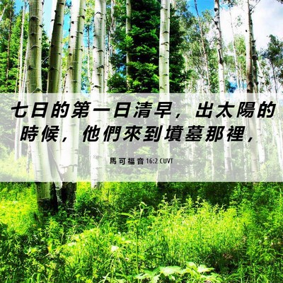 Picture 06 - 馬 可 福 音 16:2 CUVT - 七 日 的 第 一 日 清 早 ， 出 太 陽 - Bible Verse Picture