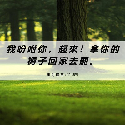 Picture 06 - 馬 可 福 音 2:11 CUVT - 我 吩 咐 你 ， 起 來 ！ 拿 你 的 褥 - Bible Verse Picture