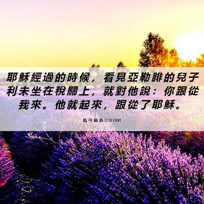 Picture 06 - 馬 可 福 音 2:14 CUVT - 耶 穌 經 過 的 時 候 ， 看 見 亞 勒 - Bible Verse Picture