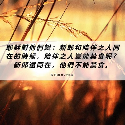 Picture 06 - 馬 可 福 音 2:19 CUVT - 耶 穌 對 他 們 說 ： 新 郎 和 陪 伴 - Bible Verse Picture