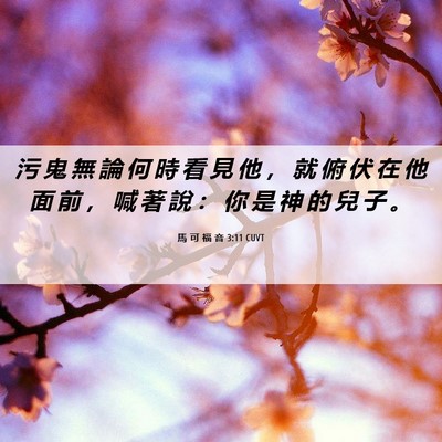Picture 06 - 馬 可 福 音 3:11 CUVT - 污 鬼 無 論 何 時 看 見 他 ， 就 俯 - Bible Verse Picture