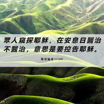 Picture 06 - 馬 可 福 音 3:2 CUVT - 眾 人 窺 探 耶 穌 ， 在 安 息 日 醫 - Bible Verse Picture