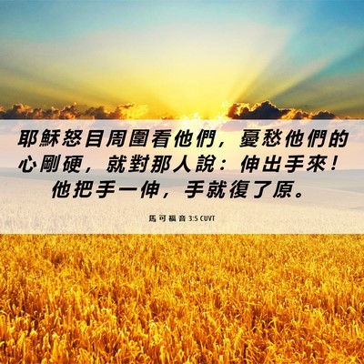 Picture 06 - 馬 可 福 音 3:5 CUVT - 耶 穌 怒 目 周 圍 看 他 們 ， 憂 愁 - Bible Verse Picture