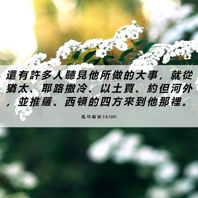 Picture 06 - 馬 可 福 音 3:8 CUVT - 還 有 許 多 人 聽 見 他 所 做 的 大 - Bible Verse Picture