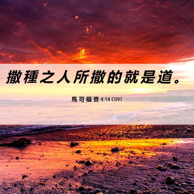 Picture 06 - 馬 可 福 音 4:14 CUVT - 撒 種 之 人 所 撒 的 就 是 道 - Bible Verse Picture
