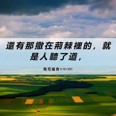 Picture 06 - 馬 可 福 音 4:18 CUVT - 還 有 那 撒 在 荊 棘 裡 的 ， 就 是 - Bible Verse Picture