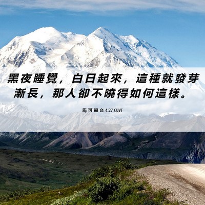 Picture 06 - 馬 可 福 音 4:27 CUVT - 黑 夜 睡 覺 ， 白 日 起 來 ， 這 種 - Bible Verse Picture