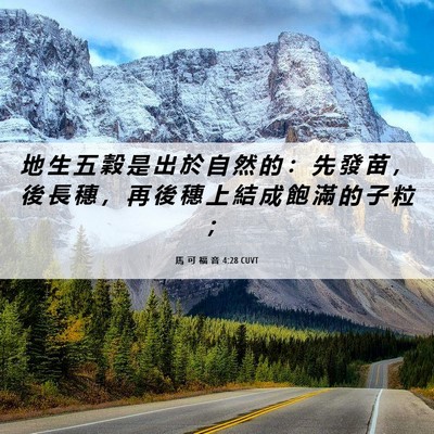 Picture 06 - 馬 可 福 音 4:28 CUVT - 地 生 五 穀 是 出 於 自 然 的 ： 先 - Bible Verse Picture