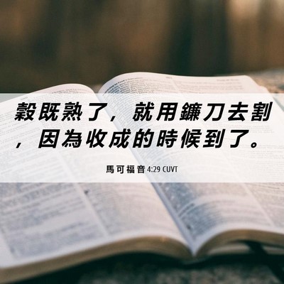 Picture 06 - 馬 可 福 音 4:29 CUVT - 穀 既 熟 了 ， 就 用 鐮 刀 去 割 ， - Bible Verse Picture