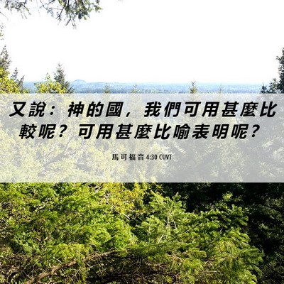 Picture 06 - 馬 可 福 音 4:30 CUVT - 又 說 ： 神 的 國 ， 我 們 可 用 甚 - Bible Verse Picture