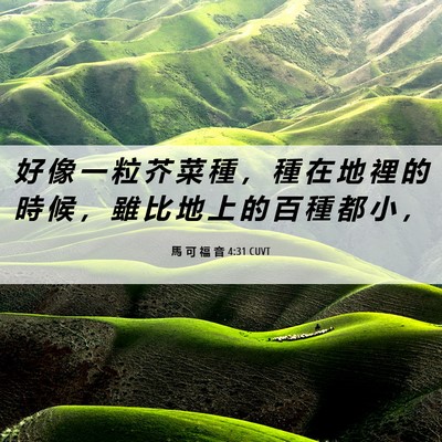 Picture 06 - 馬 可 福 音 4:31 CUVT - 好 像 一 粒 芥 菜 種 ， 種 在 地 裡 - Bible Verse Picture