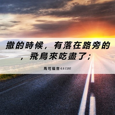 Picture 06 - 馬 可 福 音 4:4 CUVT - 撒 的 時 候 ， 有 落 在 路 旁 的 ， - Bible Verse Picture