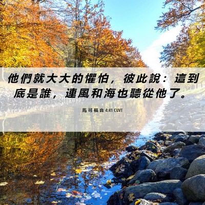Picture 06 - 馬 可 福 音 4:41 CUVT - 他 們 就 大 大 的 懼 怕 ， 彼 此 說 - Bible Verse Picture