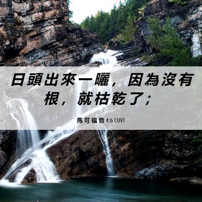Picture 06 - 馬 可 福 音 4:6 CUVT - 日 頭 出 來 一 曬 ， 因 為 沒 有 根 - Bible Verse Picture