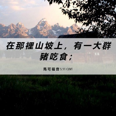 Picture 06 - 馬 可 福 音 5:11 CUVT - 在 那 裡 山 坡 上 ， 有 一 大 群 豬 - Bible Verse Picture