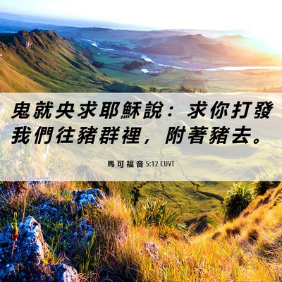 Picture 06 - 馬 可 福 音 5:12 CUVT - 鬼 就 央 求 耶 穌 說 ： 求 你 打 發 - Bible Verse Picture