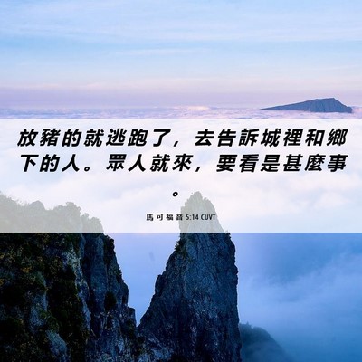 Picture 06 - 馬 可 福 音 5:14 CUVT - 放 豬 的 就 逃 跑 了 ， 去 告 訴 城 - Bible Verse Picture