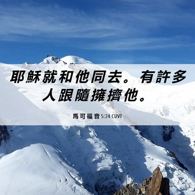 Picture 06 - 馬 可 福 音 5:24 CUVT - 耶 穌 就 和 他 同 去 。 有 許 多 人 - Bible Verse Picture