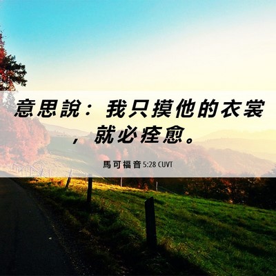 Picture 06 - 馬 可 福 音 5:28 CUVT - 意 思 說 ： 我 只 摸 他 的 衣 裳 ， - Bible Verse Picture