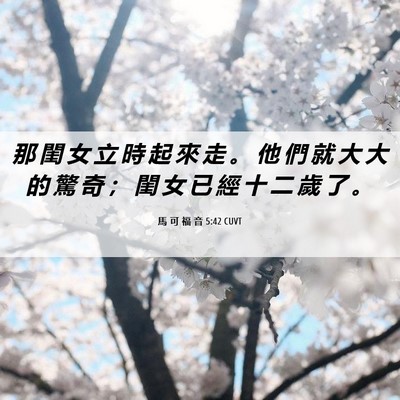 Picture 06 - 馬 可 福 音 5:42 CUVT - 那 閨 女 立 時 起 來 走 。 他 們 就 - Bible Verse Picture