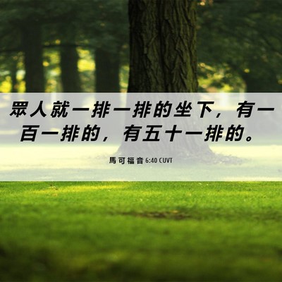 Picture 06 - 馬 可 福 音 6:40 CUVT - 眾 人 就 一 排 一 排 的 坐 下 ， 有 - Bible Verse Picture