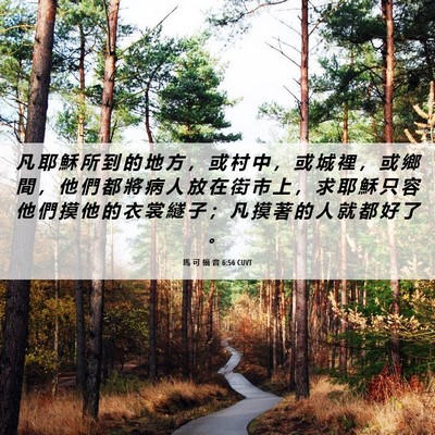 Picture 06 - 馬 可 福 音 6:56 CUVT - 凡 耶 穌 所 到 的 地 方 ， 或 村 中 - Bible Verse Picture
