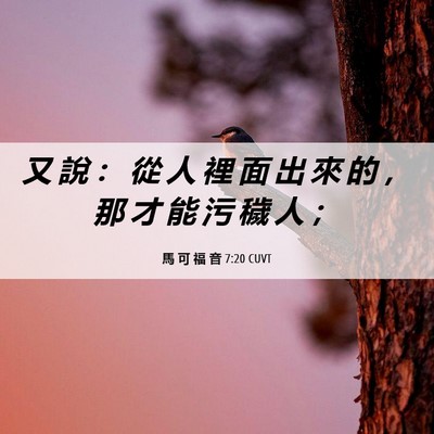 Picture 06 - 馬 可 福 音 7:20 CUVT - 又 說 ： 從 人 裡 面 出 來 的 ， 那 - Bible Verse Picture