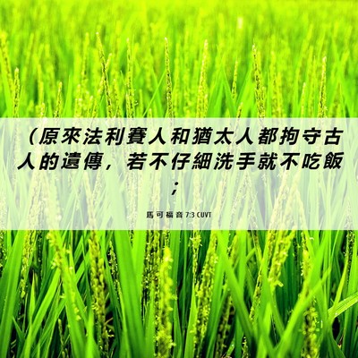 Picture 06 - 馬 可 福 音 7:3 CUVT - （ 原 來 法 利 賽 人 和 猶 太 人 都 - Bible Verse Picture