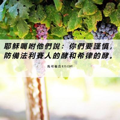Picture 06 - 馬 可 福 音 8:15 CUVT - 耶 穌 囑 咐 他 們 說 ： 你 們 要 謹 - Bible Verse Picture
