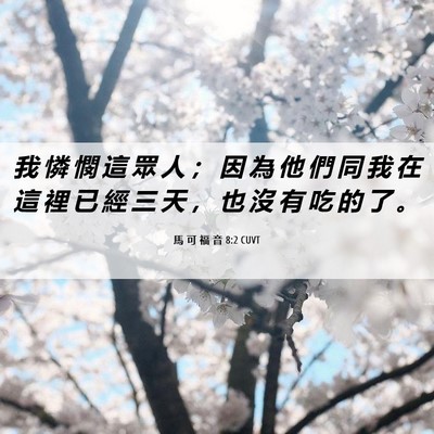 Picture 06 - 馬 可 福 音 8:2 CUVT - 我 憐 憫 這 眾 人 ； 因 為 他 們 同 - Bible Verse Picture