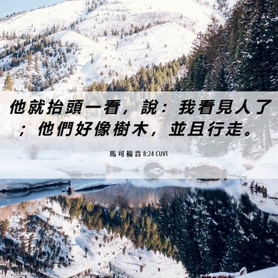 Picture 06 - 馬 可 福 音 8:24 CUVT - 他 就 抬 頭 一 看 ， 說 ： 我 看 見 - Bible Verse Picture