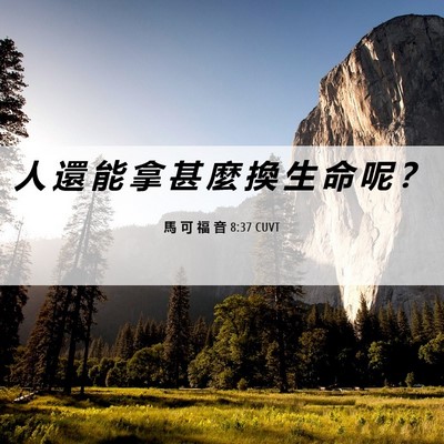 Picture 06 - 馬 可 福 音 8:37 CUVT - 人 還 能 拿 甚 麼 換 生 命 呢 - Bible Verse Picture