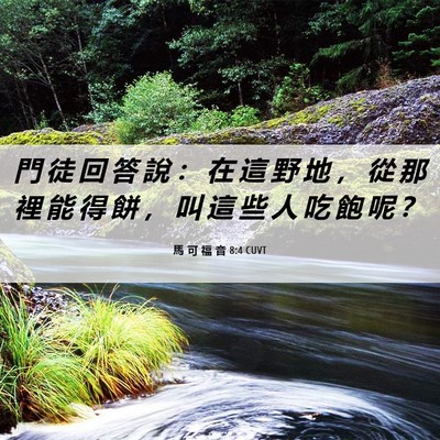 Picture 06 - 馬 可 福 音 8:4 CUVT - 門 徒 回 答 說 ： 在 這 野 地 ， 從 - Bible Verse Picture