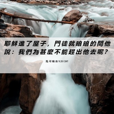 Picture 06 - 馬 可 福 音 9:28 CUVT - 耶 穌 進 了 屋 子 ， 門 徒 就 暗 暗 - Bible Verse Picture