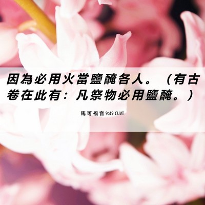 Picture 06 - 馬 可 福 音 9:49 CUVT - 因 為 必 用 火 當 鹽 醃 各 人 。 （ - Bible Verse Picture