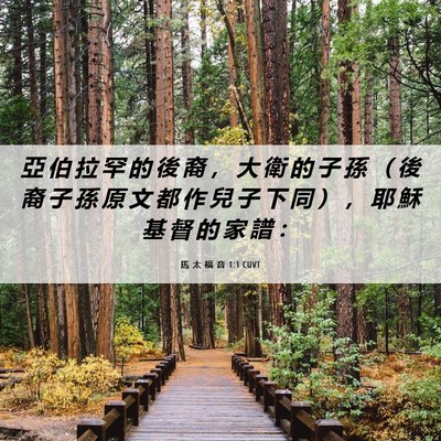 Picture 06 - 馬 太 福 音 1:1 CUVT - 亞 伯 拉 罕 的 後 裔 ， 大 衛 的 子 - Bible Verse Picture