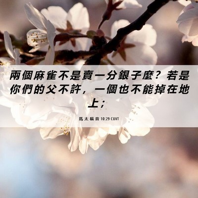 Picture 06 - 馬 太 福 音 10:29 CUVT - 兩 個 麻 雀 不 是 賣 一 分 銀 子 麼 - Bible Verse Picture