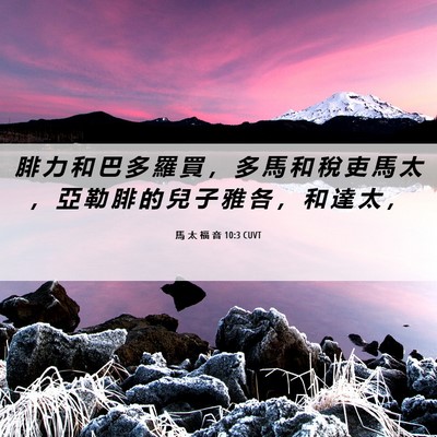 Picture 06 - 馬 太 福 音 10:3 CUVT - 腓 力 和 巴 多 羅 買 ， 多 馬 和 稅 - Bible Verse Picture