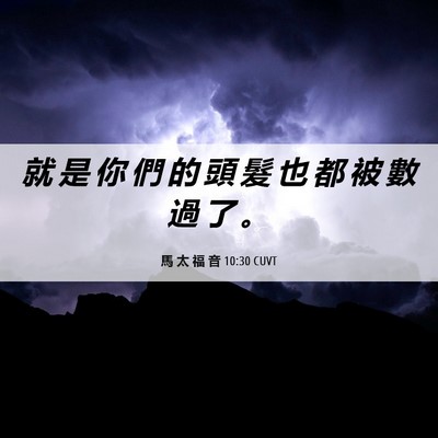 Picture 06 - 馬 太 福 音 10:30 CUVT - 就 是 你 們 的 頭 髮 也 都 被 數 過 - Bible Verse Picture