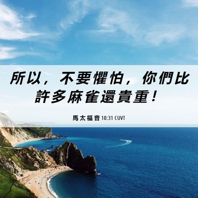 Picture 06 - 馬 太 福 音 10:31 CUVT - 所 以 ， 不 要 懼 怕 ， 你 們 比 許 - Bible Verse Picture