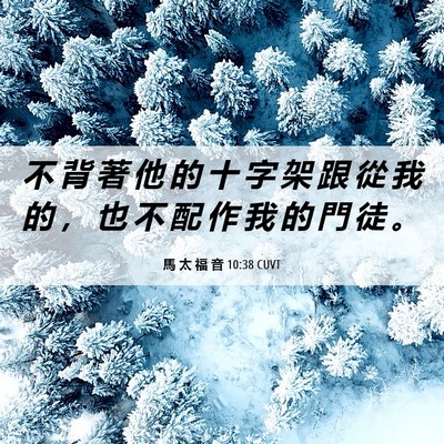 Picture 06 - 馬 太 福 音 10:38 CUVT - 不 背 著 他 的 十 字 架 跟 從 我 的 - Bible Verse Picture
