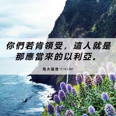 Picture 06 - 馬 太 福 音 11:14 CUVT - 你 們 若 肯 領 受 ， 這 人 就 是 那 - Bible Verse Picture