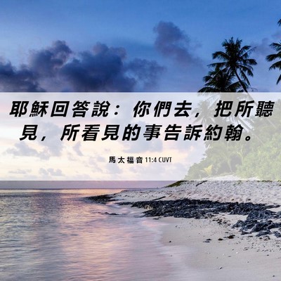 Picture 06 - 馬 太 福 音 11:4 CUVT - 耶 穌 回 答 說 ： 你 們 去 ， 把 所 - Bible Verse Picture