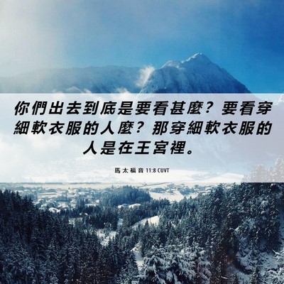 Picture 06 - 馬 太 福 音 11:8 CUVT - 你 們 出 去 到 底 是 要 看 甚 麼 ？ - Bible Verse Picture