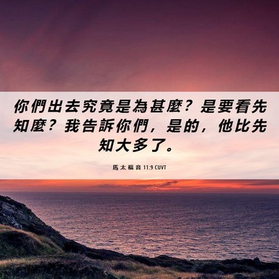 Picture 06 - 馬 太 福 音 11:9 CUVT - 你 們 出 去 究 竟 是 為 甚 麼 ？ 是 - Bible Verse Picture
