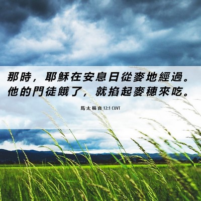 Picture 06 - 馬 太 福 音 12:1 CUVT - 那 時 ， 耶 穌 在 安 息 日 從 麥 地 - Bible Verse Picture