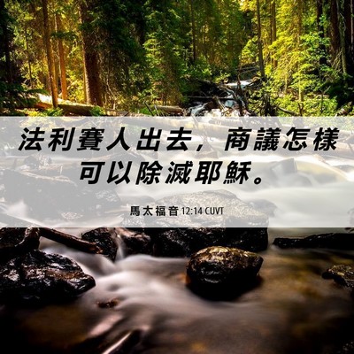 Picture 06 - 馬 太 福 音 12:14 CUVT - 法 利 賽 人 出 去 ， 商 議 怎 樣 可 - Bible Verse Picture